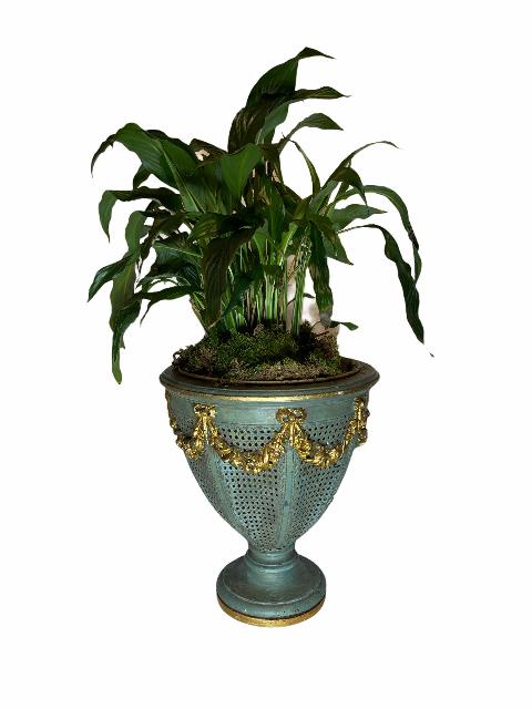 Vase Jardinière demi-Visage Plantes, herbes décor fleurs jardinier pot  lideecadeauweb.ca Collection Élégance Abbott Design …